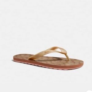 NWT, Coach flip flops
